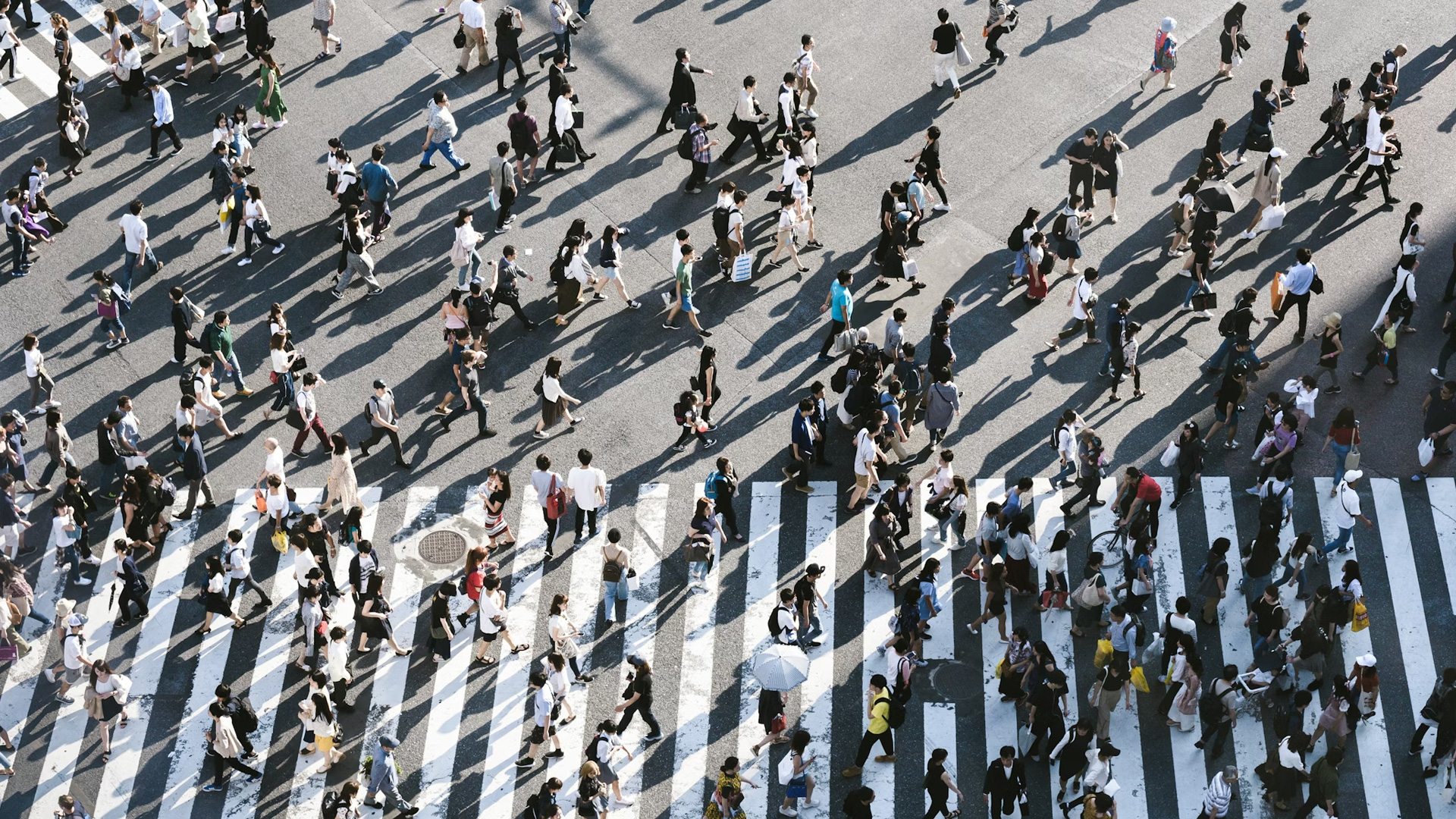 Base de données propriétaire